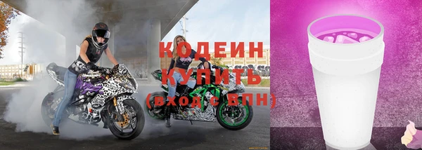 прущие грибы Белокуриха