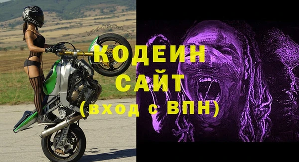 apvp Снежногорск