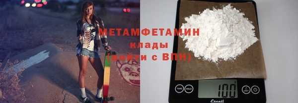 прущие грибы Белокуриха
