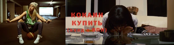 крисы Беломорск