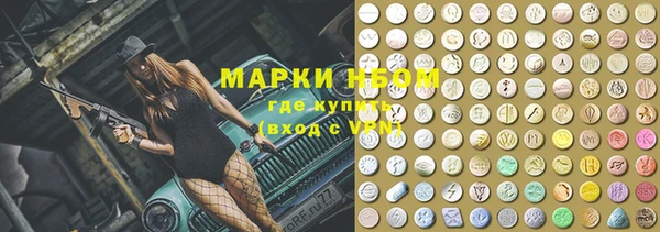 прущие грибы Белокуриха