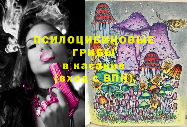 прущие грибы Белокуриха