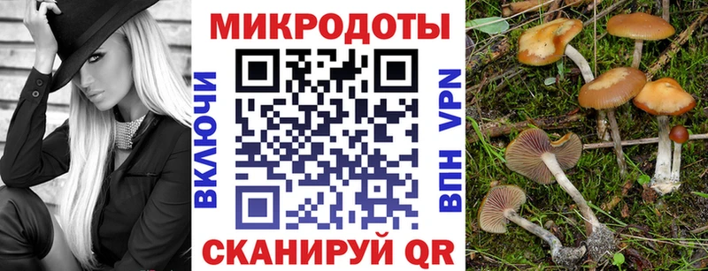 мориарти телеграм  наркотики  Завитинск  Галлюциногенные грибы прущие грибы 